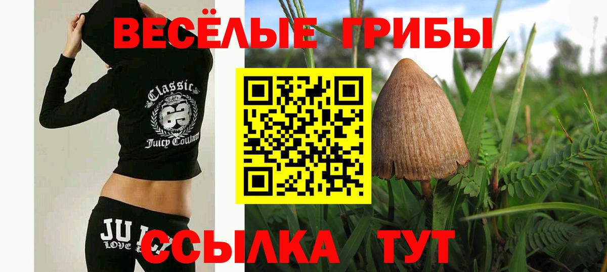 Псилоцибиновые грибы Magic Shrooms  Вход с VPN  Асино 